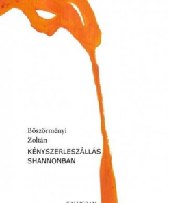 Kényszerleszállás Shannonban