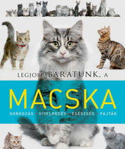 Legjobb barátunk a macska
