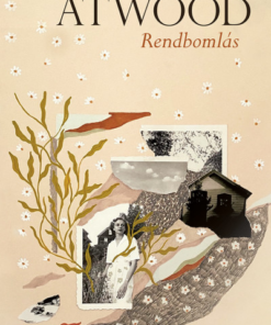 Rendbomlás