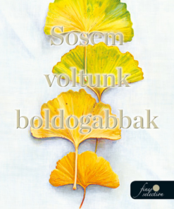 Sosem voltunk boldogabbak