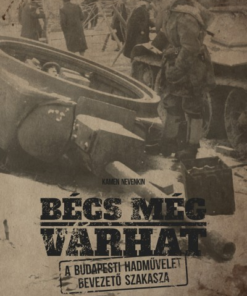 Bécs még várhat - A budapesti hadművelet bevezető szakasza