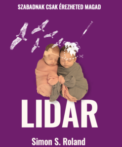 LIDAR