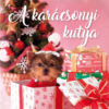 A karácsonyi kutya