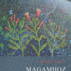 Magamhoz rendeződtem