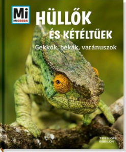 Mi micsoda: Hüllők és kétéltűek - Gekkók, békák, varánuszok