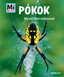 Pókok - Nyolclábú vadászok - Mi Micsoda