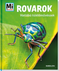 Rovarok - Hatlábú túlélőművészek - Mi Micsoda