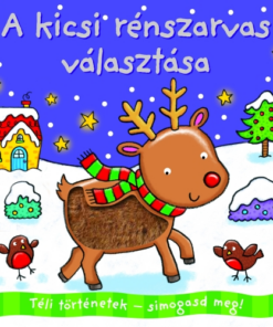 Téli történetek - símogasd meg - A kicsi rénszarvas választása