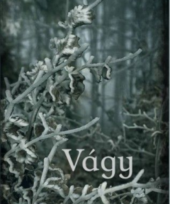 Vágy