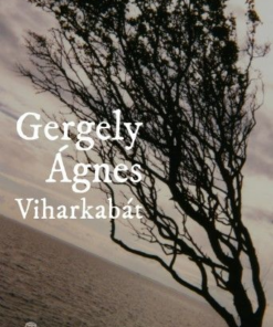 Viharkabát