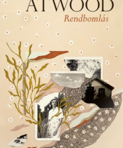 Rendbomlás - Image 2