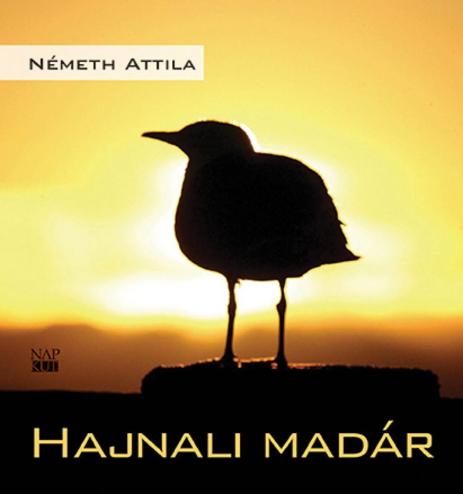 Hajnali madár - Image 2