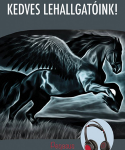 Kedves Lehallgatóink - Pegasus - ami előtte volt, és ami utána lesz - Image 2