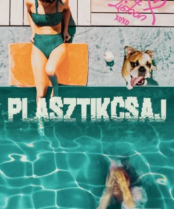 Plasztikcsaj - Image 2