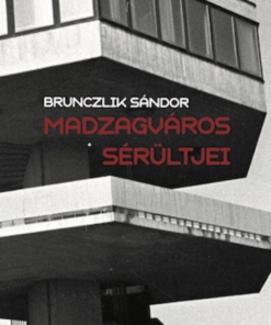 Madzagváros sérültjei - Image 2