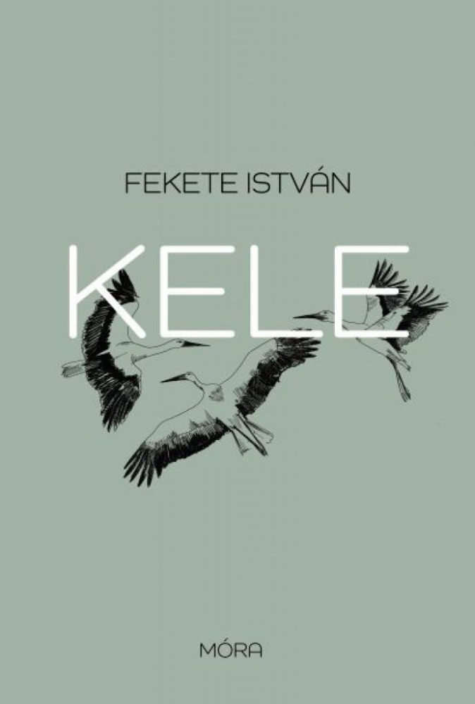 Kele - Image 2