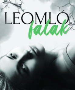 Leomló falak - Image 2