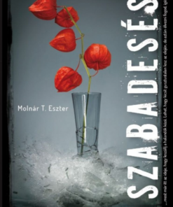 Alternative view of Szabadesés