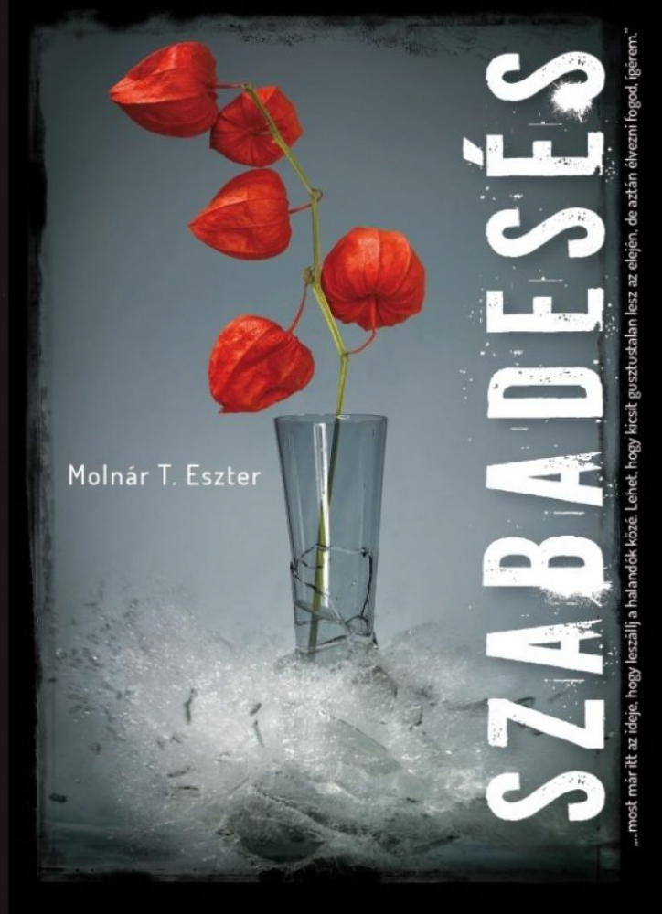 Szabadesés - Image 2