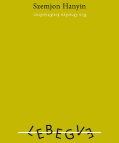 Alternative view of Lebegve