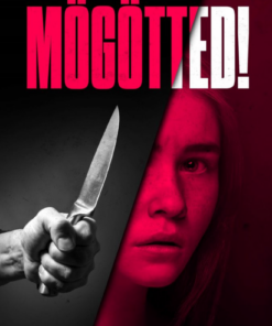 Alternative view of Mögötted!