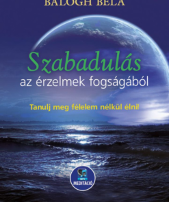 Szabadulás az érzelmek fogságából - Image 2