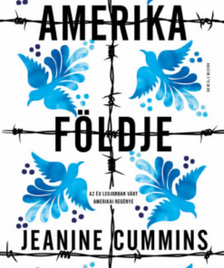 Amerika földje - Image 2