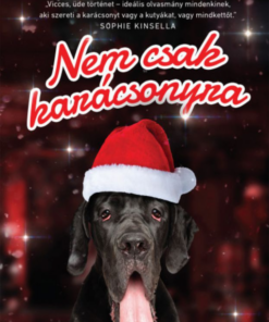 Nem csak karácsonyra - Image 2