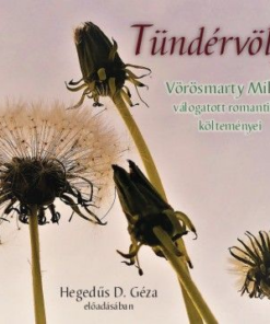 Tündérvölgy - Vörösmarty Mihály válogatott romantikus költeményei - Hangoskönyv - Image 2
