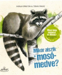 Mikor alszik a mosómedve? - Mivel töltik napjukat az állatok? Miben hasonlítanak hozzád? - Image 2
