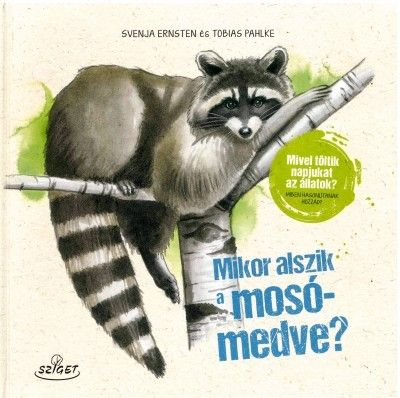 Mikor alszik a mosómedve? - Mivel töltik napjukat az állatok? Miben hasonlítanak hozzád? - Image 2