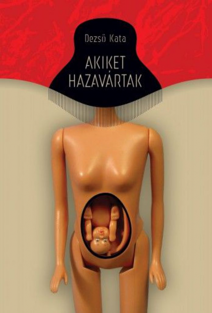 Akiket hazavártak - Image 2