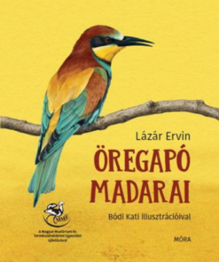 Öregapó madarai - Image 2