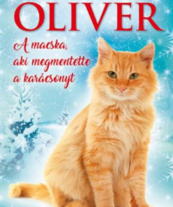 Oliver - A macska, aki megmentette a karácsonyt - Image 2