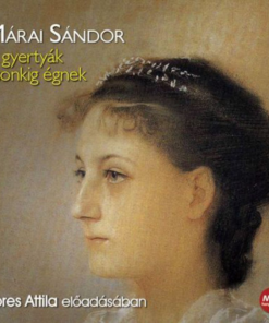 A gyertyák csonkig égnek - Hangoskönyv - Mp3 - Image 2
