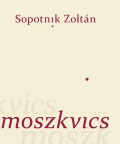 Alternative view of Moszkvics
