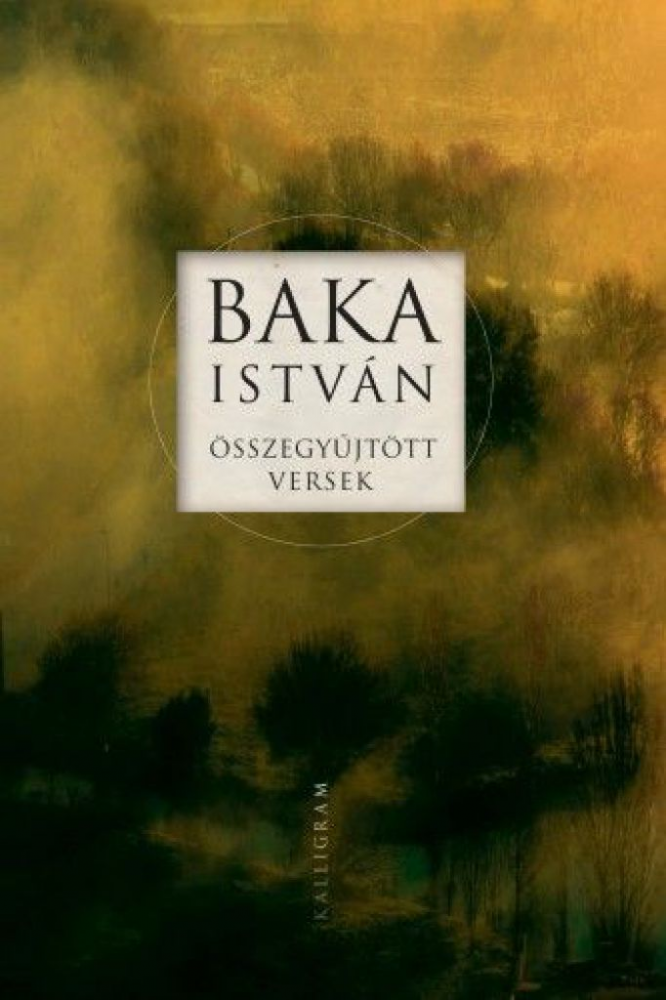Összegyűjtött versek - Image 2