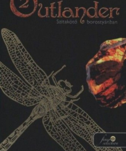Alternative view of Outlander 2. – Szitakötő borostyánban
