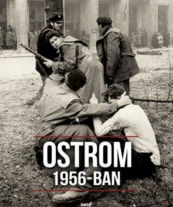 Alternative view of Ostrom 1956-ban