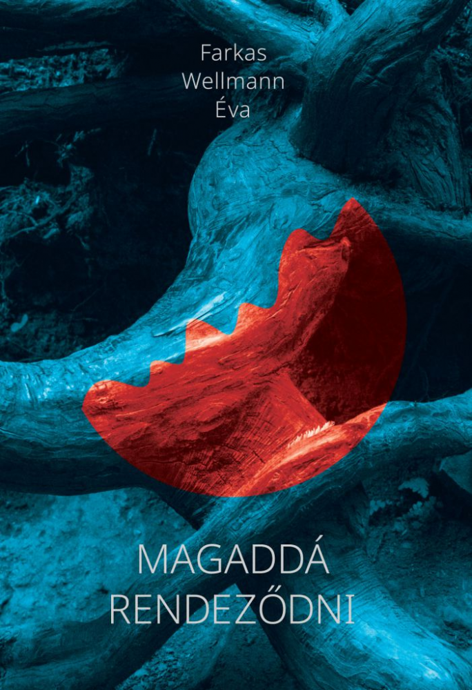 Magaddá rendeződni - Image 2
