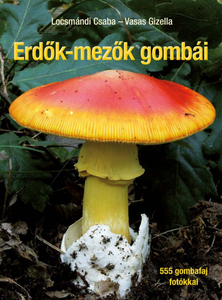 Erdők-mezők gombái - Javított utánnyomás - Image 2