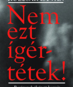 Nem ezt ígértétek! - Regénynek álcázott korrajz - Image 2