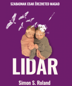 LIDAR - Image 2