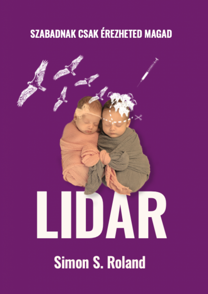 LIDAR - Image 2