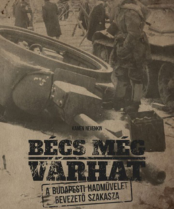 Bécs még várhat - A budapesti hadművelet bevezető szakasza - Image 2