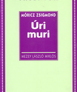 Alternative view of Úri muri - Műeelmzések