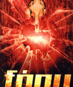 Fény - Image 4
