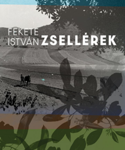 Alternative view of Zsellérek