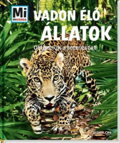 Alternative view of Vadon élő állatok - Otthonuk a természet