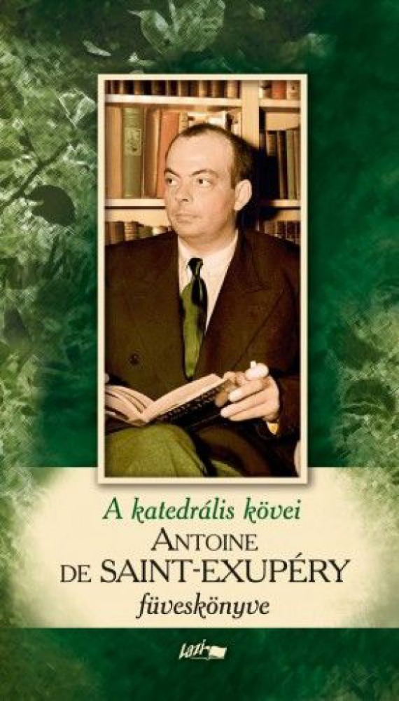 A katedrális kövei - Saint-Exupéry füveskönyve (2015) - Image 2